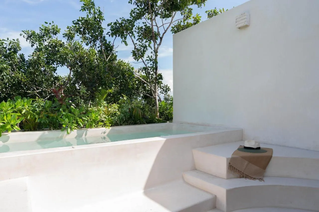 2Br Penthouse With Private Pool & Sunset Terrace Aldea Zama location